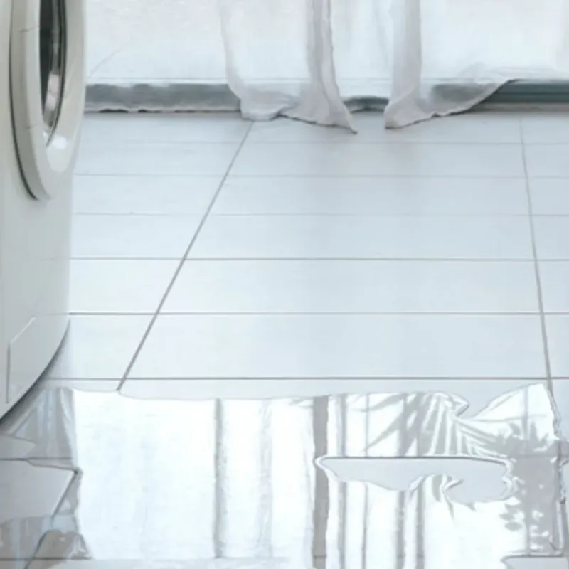 Appliance Leak Cleanup in Oquawka, IL