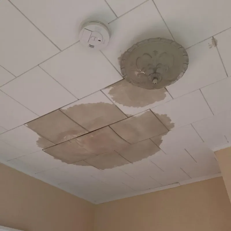 Ceiling Water Damage Repair in Oquawka, IL