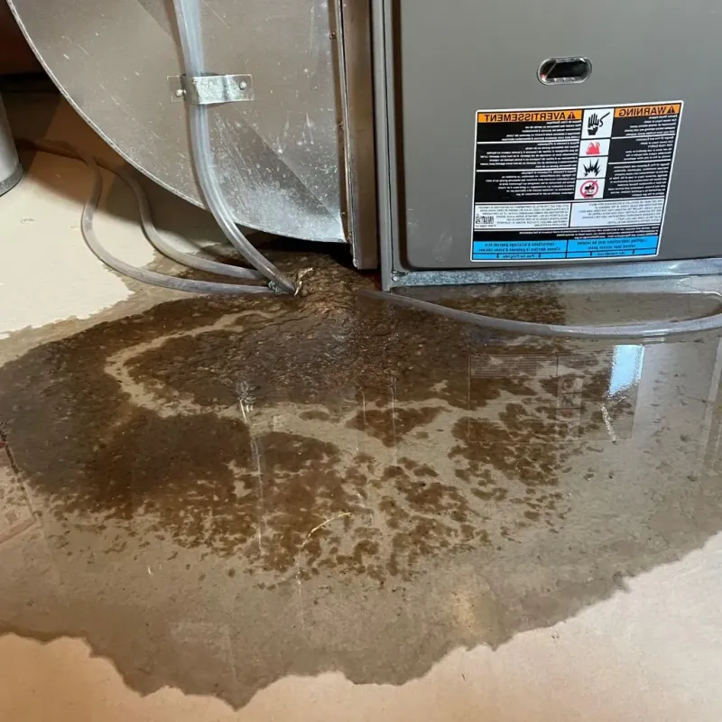 Pipe Burst and Leak Restoration in Oquawka, IL