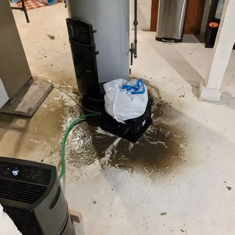 Sewage Backup Cleanup Service in Oquawka, IL